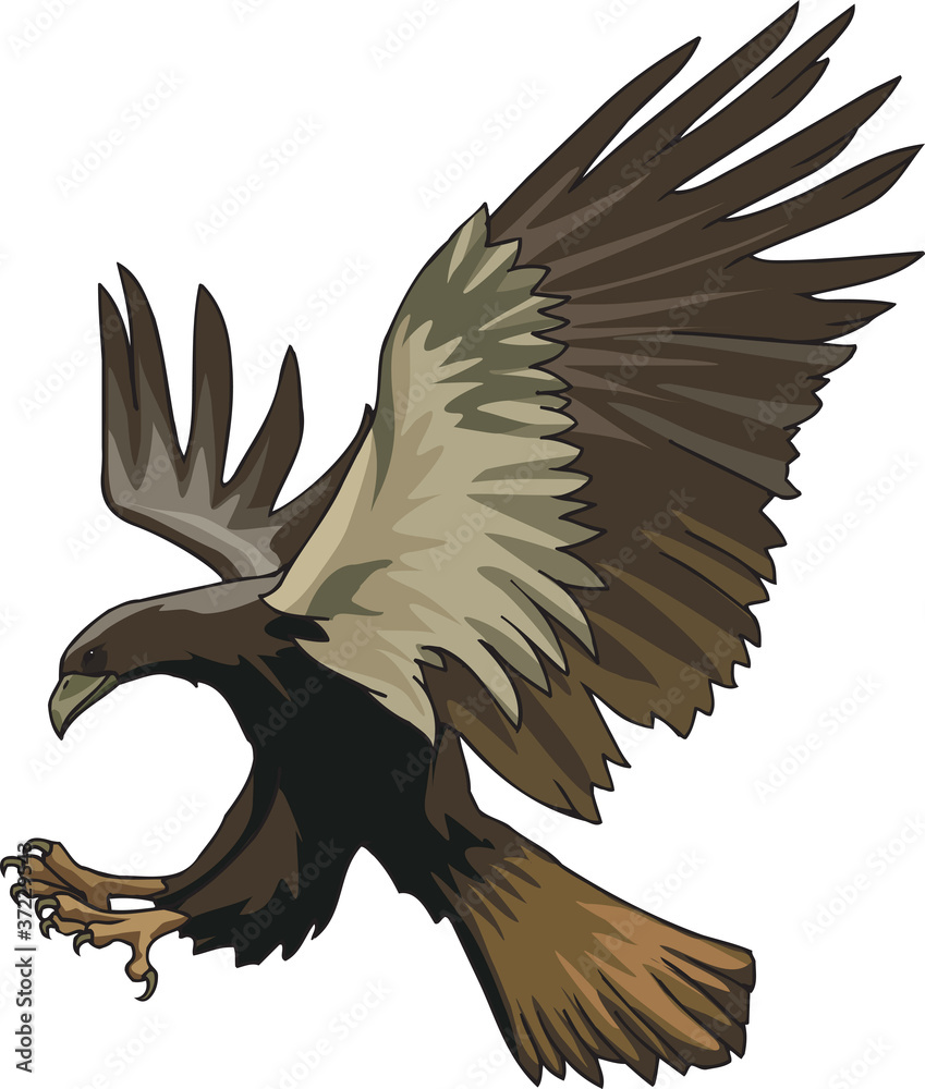 Naklejka premium Falcon w ataku