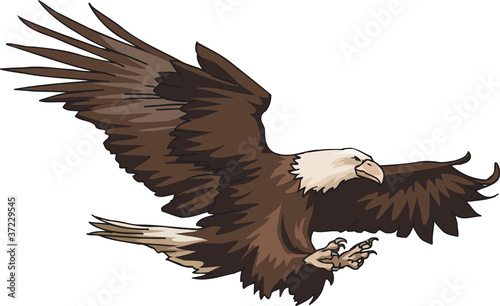 American Eagle