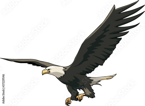 Flight of eagle
