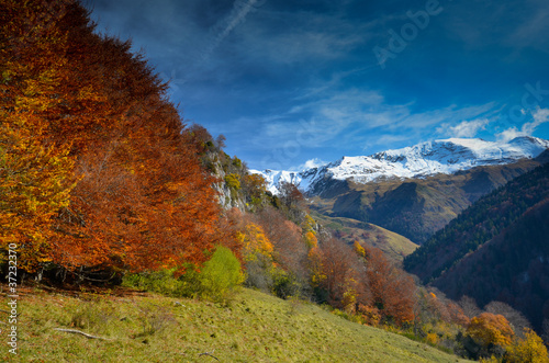Un automne en vallée d'Aspe