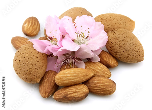 Almonds with pink flowers
