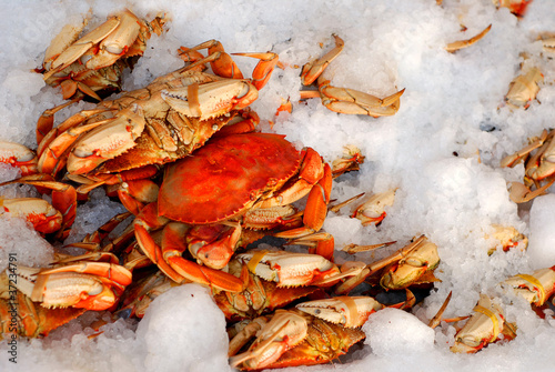 Fresh Crab on Ice