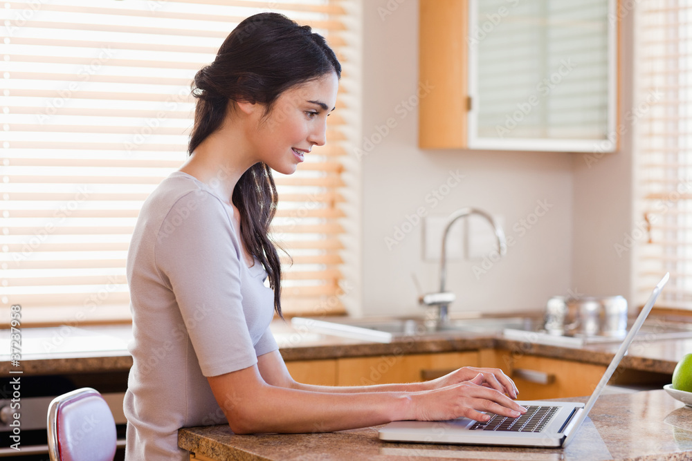 Lovely woman using a laptop Lovely woman using a laptop