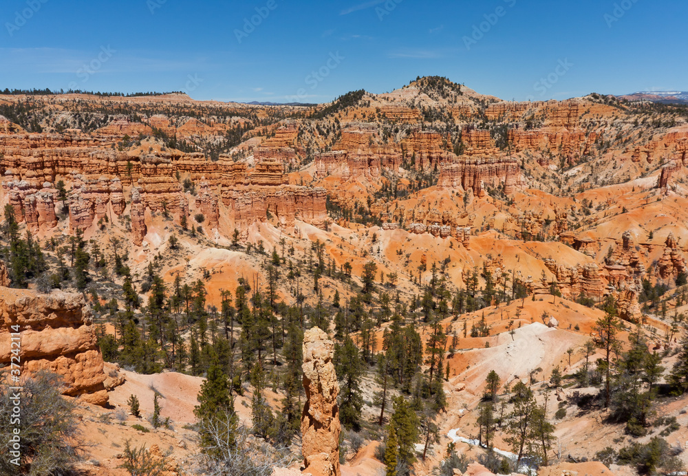 Unique Bryce Canyon
