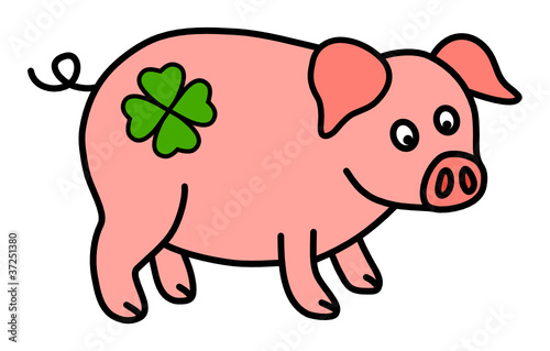 schwein mit glücksklee