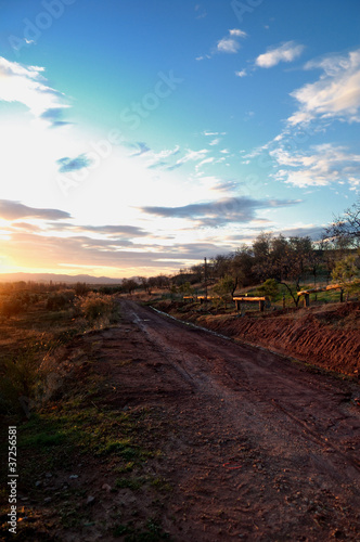 Country road at sunset