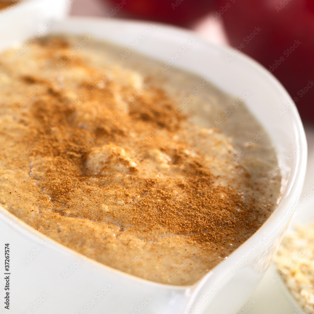 Porridge made of oatmeal and milk with cinnamon Porridge made of oatmeal and milk with cinnamon