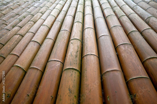 bamboo wall/bamboo house
