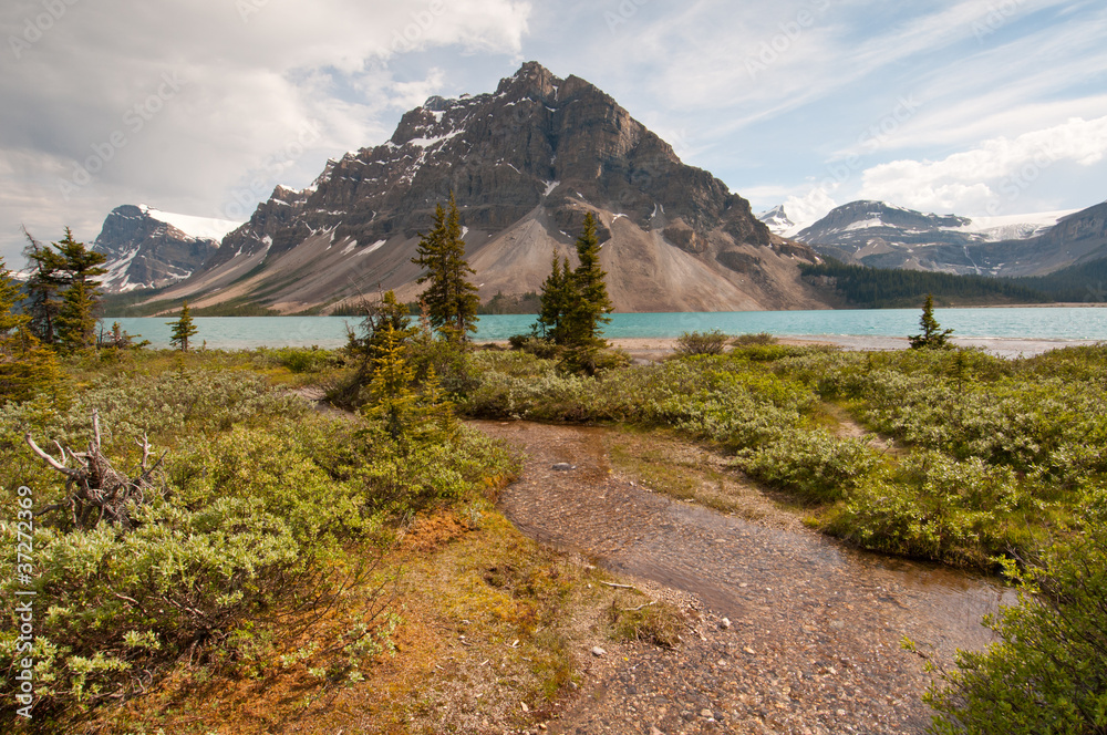 Obraz premium Bow Lake and greenery