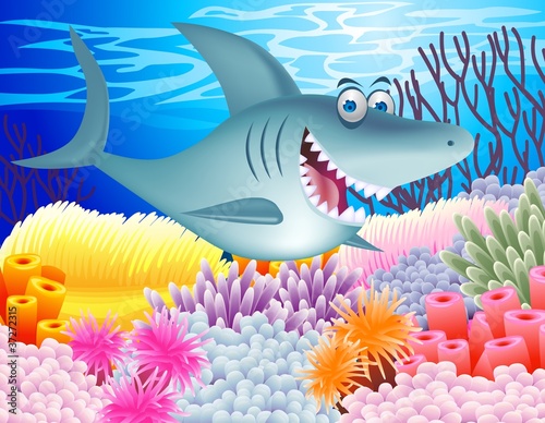 Funny shark