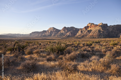 Red Rock Nevada in Warm Early Morning Light