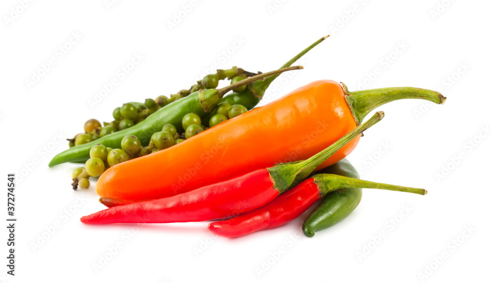 Different kinds of hot pepper Different kinds of hot pepper
