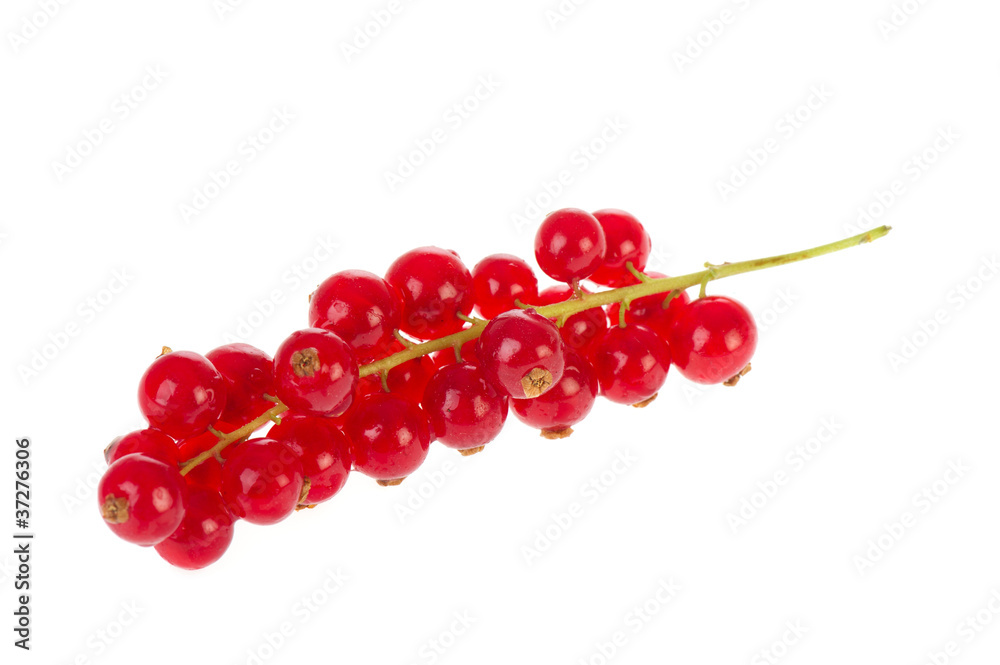 Red currants