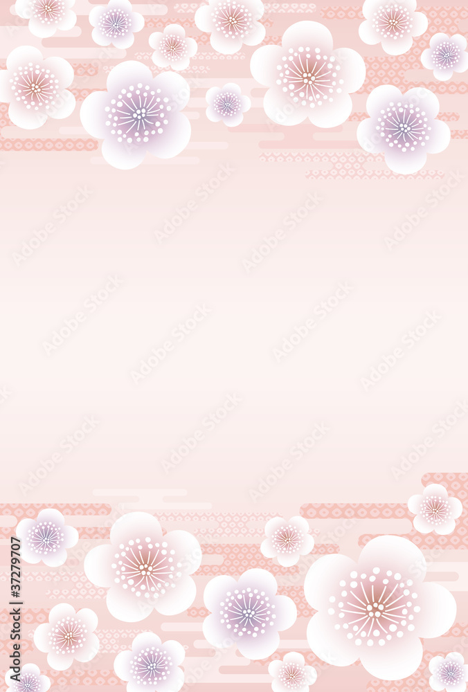 梅 梅