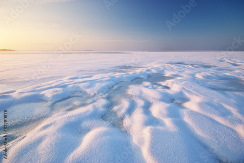 Winter landscape