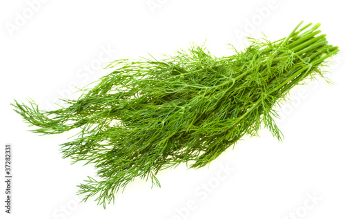 Green dill on white