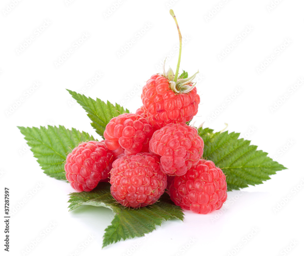 Fresh raspberries heap on leaves Fresh raspberries heap on leaves