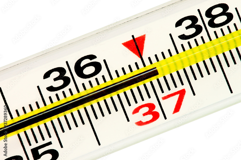 Thermometer Thermometer