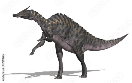 Saurolophus Dinosaur photo