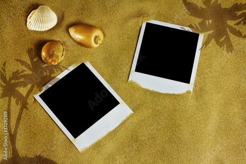 Sandy beach background with shells and blank instant print pictu photo