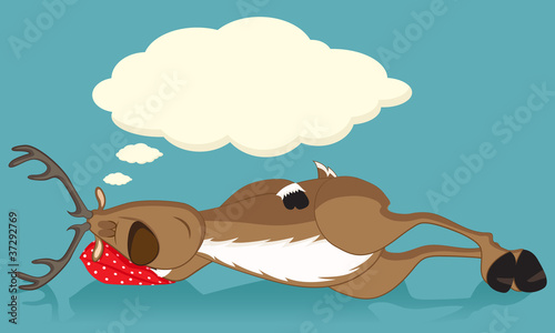 Sleeping reindeer