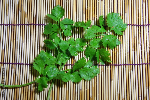 Coriander on bamboo plate  ingredient in Thai s food style.