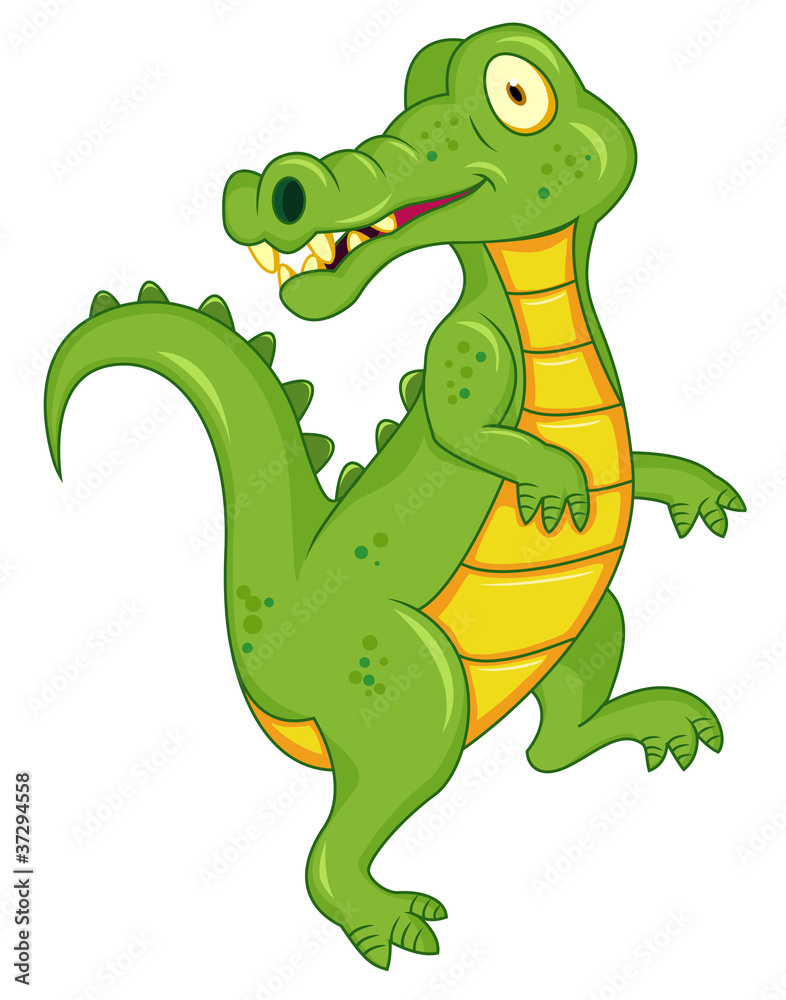 Crocodile cartoon Crocodile cartoon