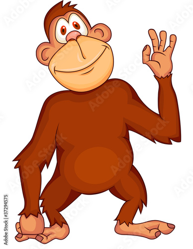Funny ape