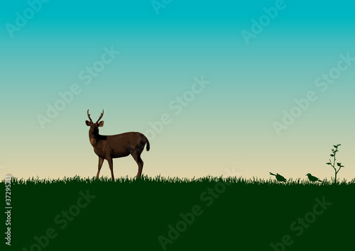 Save Wildlife