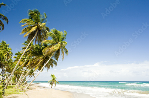 Fototapeta Naklejka Na Ścianę i Meble -  Sauteurs Bay, Grenada