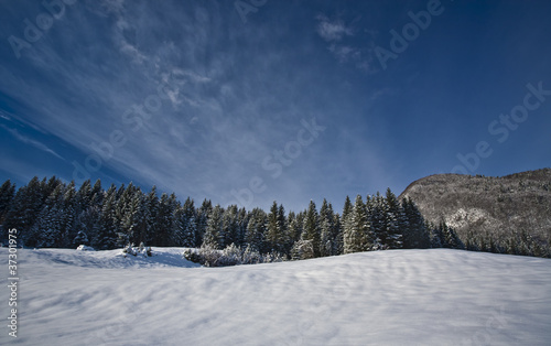 winter landscape in alps