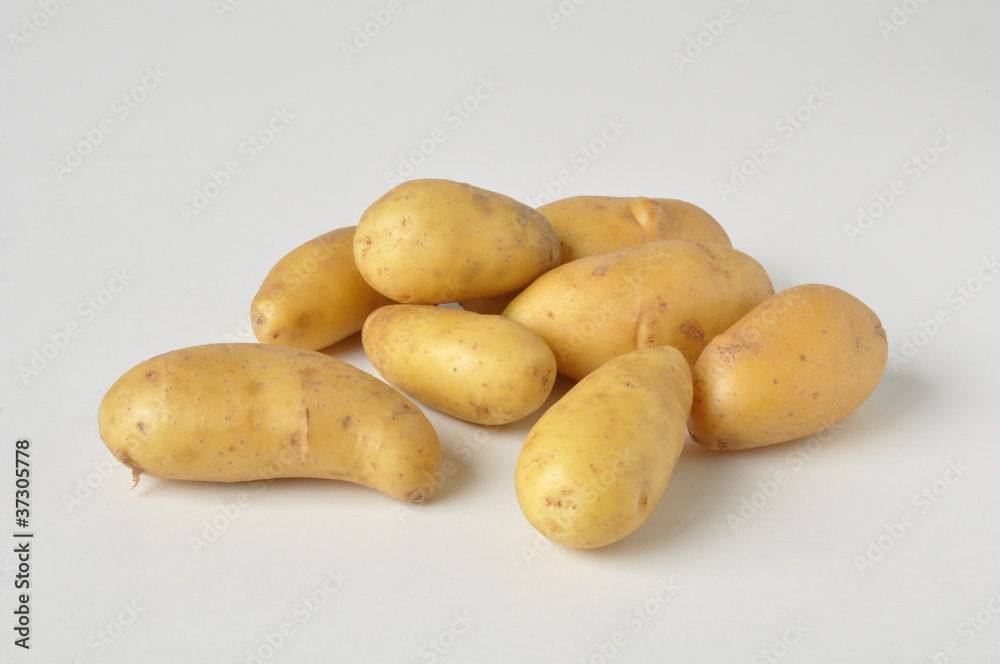 pomme de terre 'Belle de Fontenay'