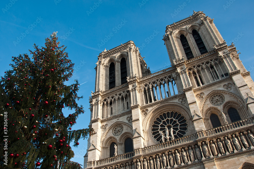 Notre Dame de Paris et sapin de noël