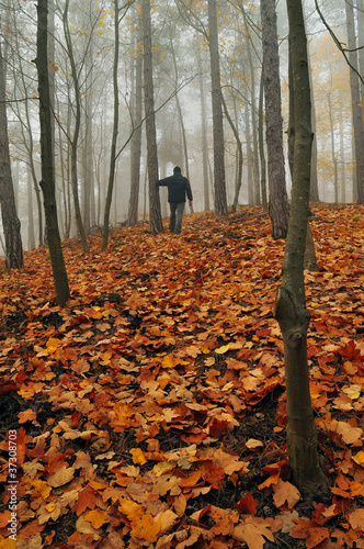Uomo in un bosco nebbioso