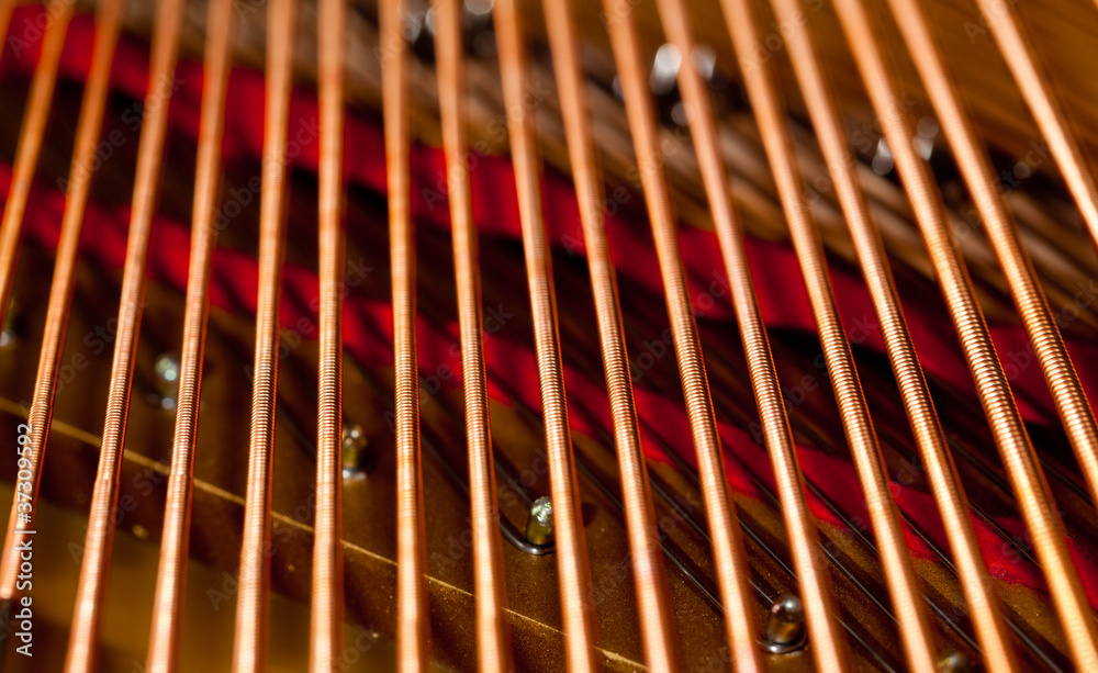 Piano strings in macro Piano strings in macro