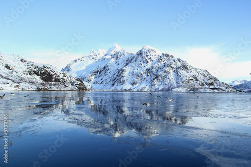 Icy fjord of Lofoten