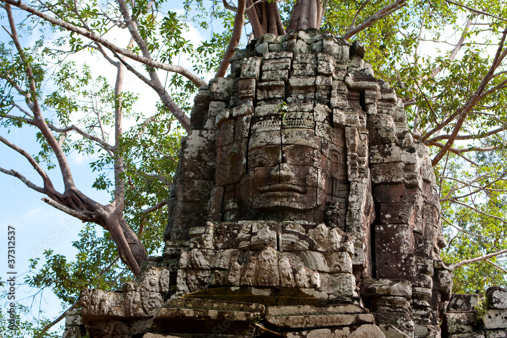 Ta Som temple. Angkor,Cambodia