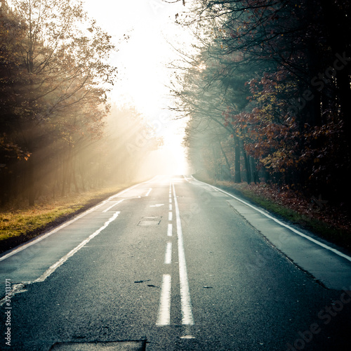 Road in to the mist