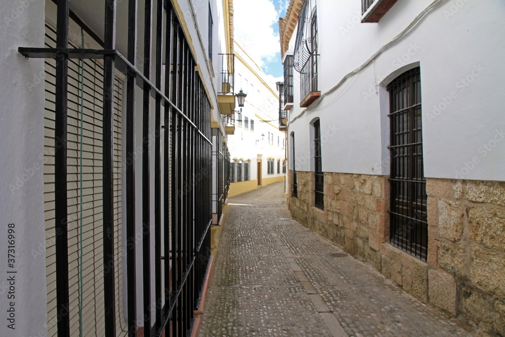 White villages Frigiliana town in Malaga province Spain