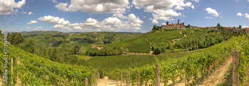 Panoramic view on vineyards and hills in Italy.