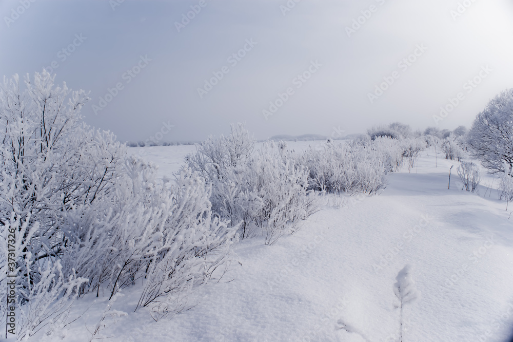 Snow winter Snow winter