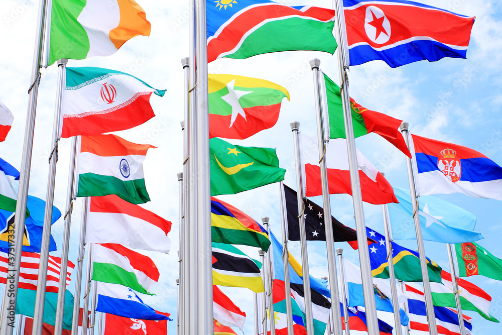 Obraz premium The world national flags