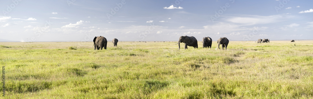 Amboseli National Park