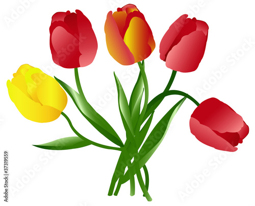 Celebratory bouquet of tulips