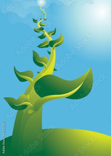 beanstalk2