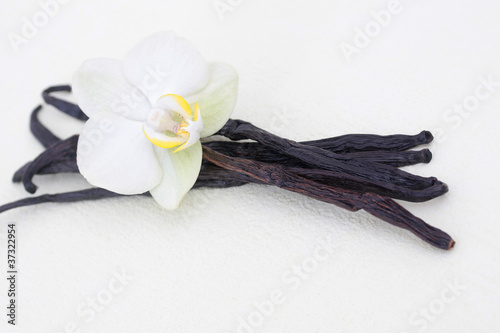 Vanilleschoten und Blüte