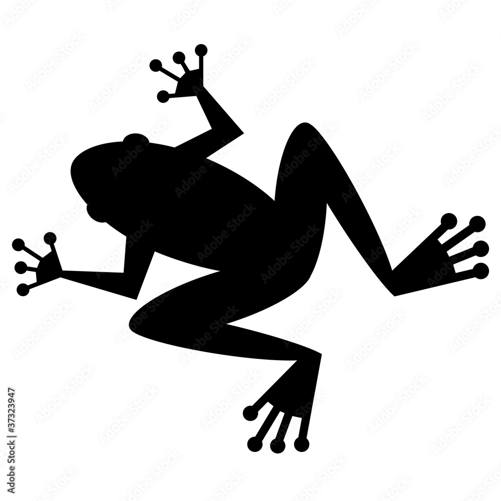 Frosch Stock-Illustration | Adobe Stock