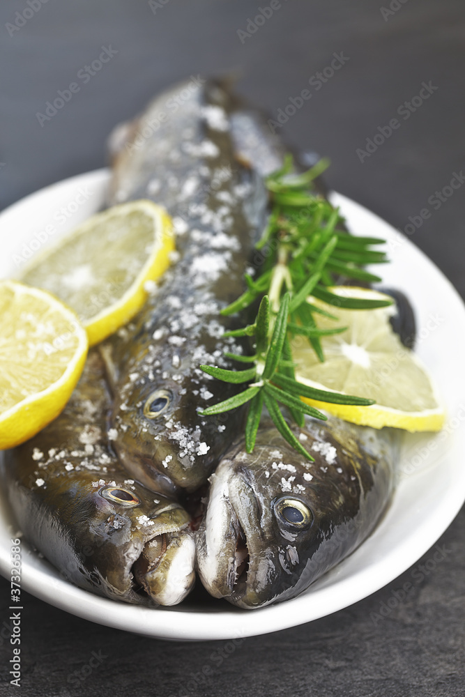 Frische Bachsaiblinge mit Rosmarin und Zitronenscheiben Frische Bachsaiblinge mit Rosmarin und Zitronenscheiben