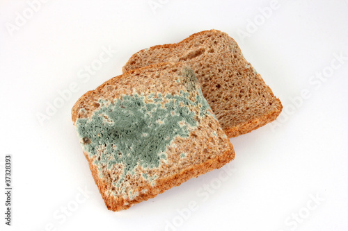 Verschimmeltes Brot