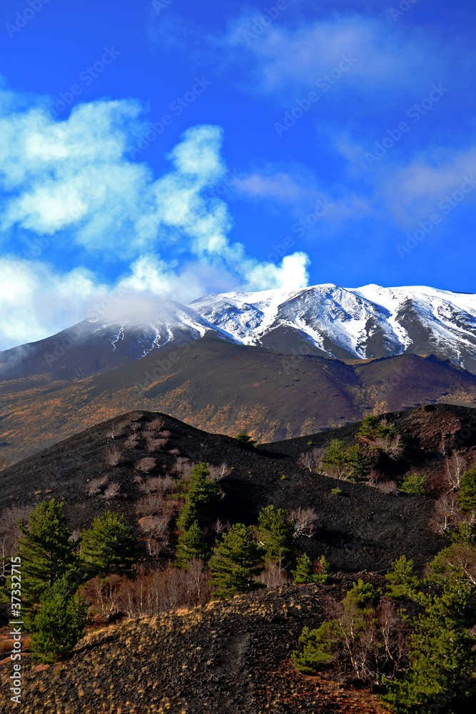 custom made wallpaper toronto digitalEtna